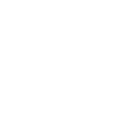 Peter-paulissen-acupunctuur-logo-white